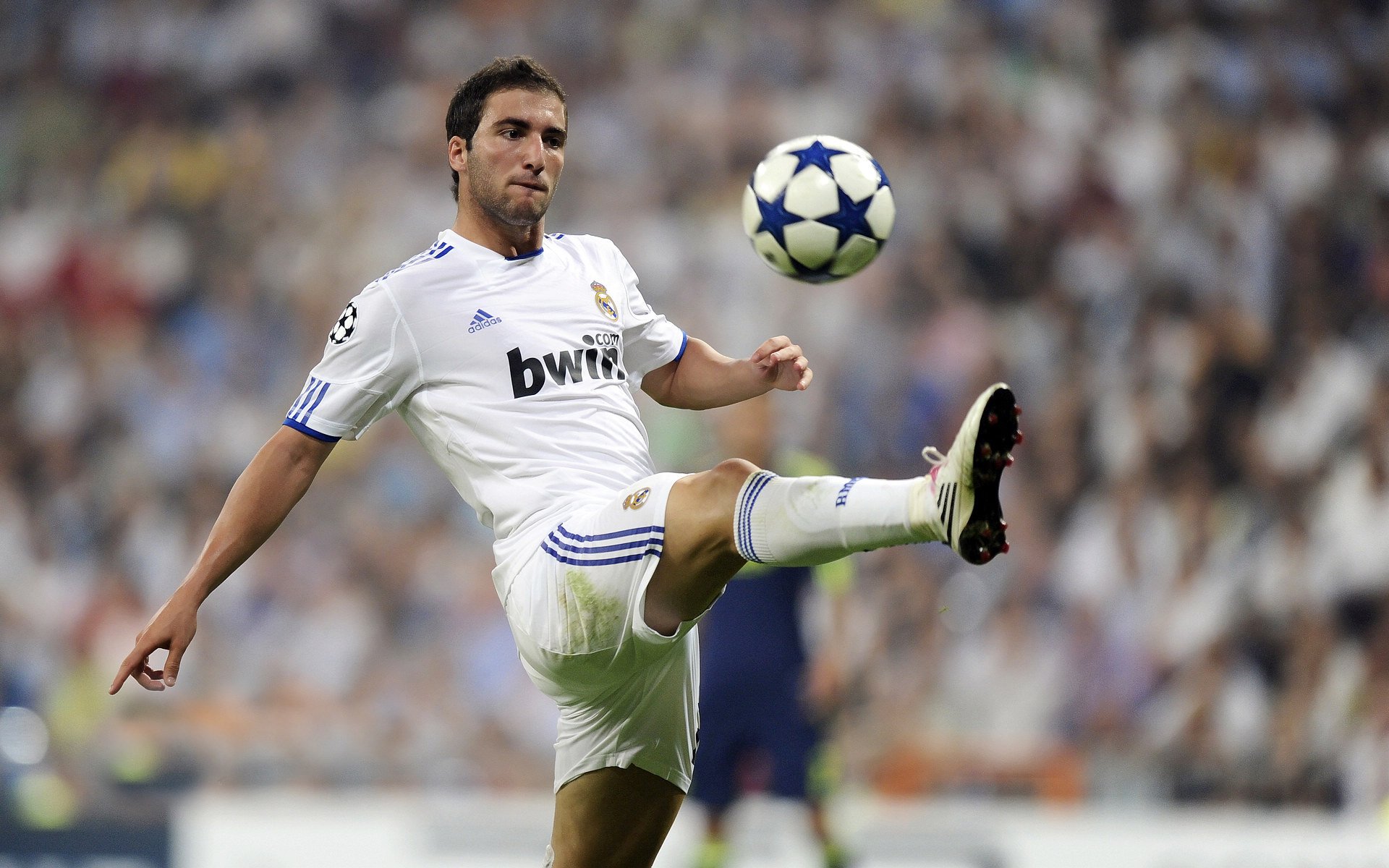 掘金队新核心领衔，带领球队冲击更高目标，掘金队伍